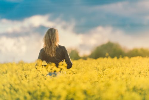 Free Woman Standing on Yellow Flower Fields Stock Photo