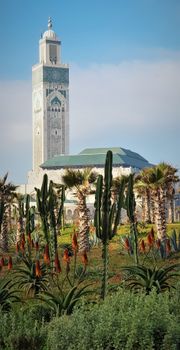 Stunning view of Casablanca's Hassan II Mosque framed by lush greenery under a bright sky.