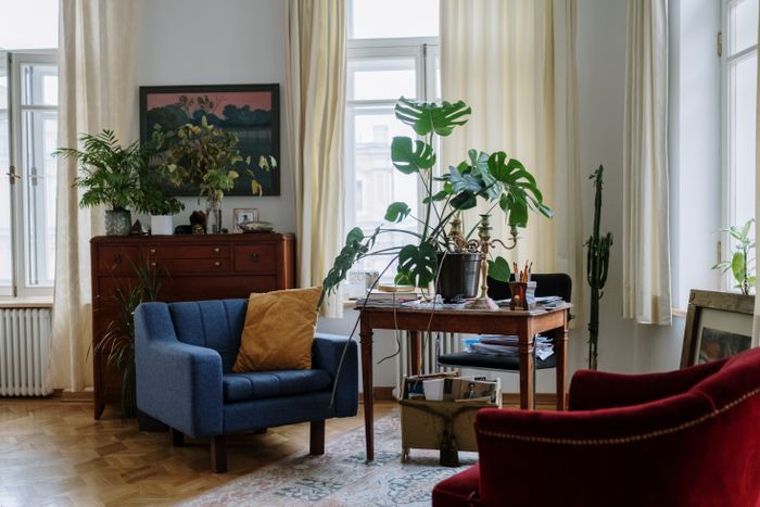Bold Eclectic
