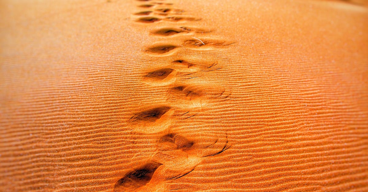 Foot Prints on Desert during Daytime