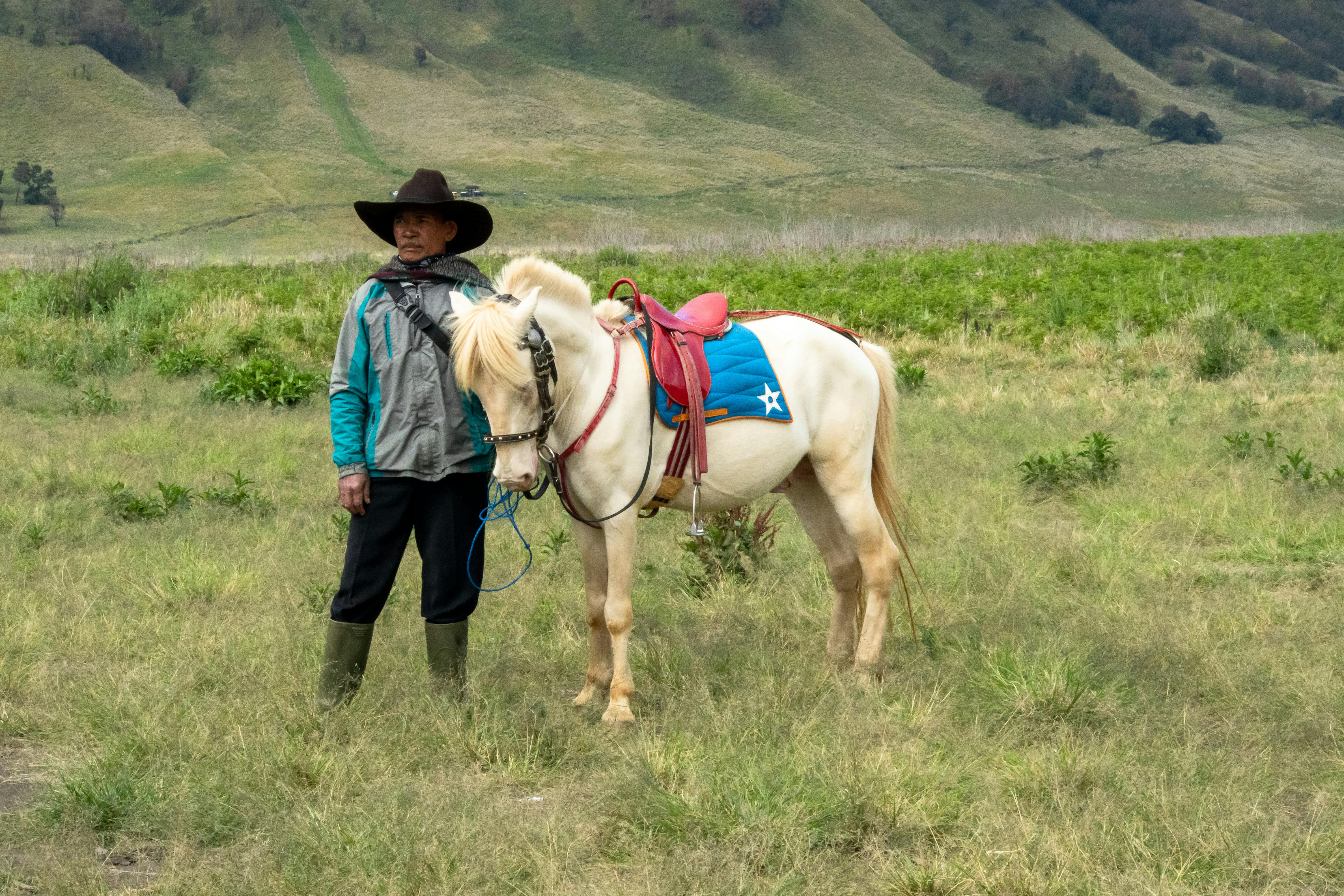 man with horse in hayfield