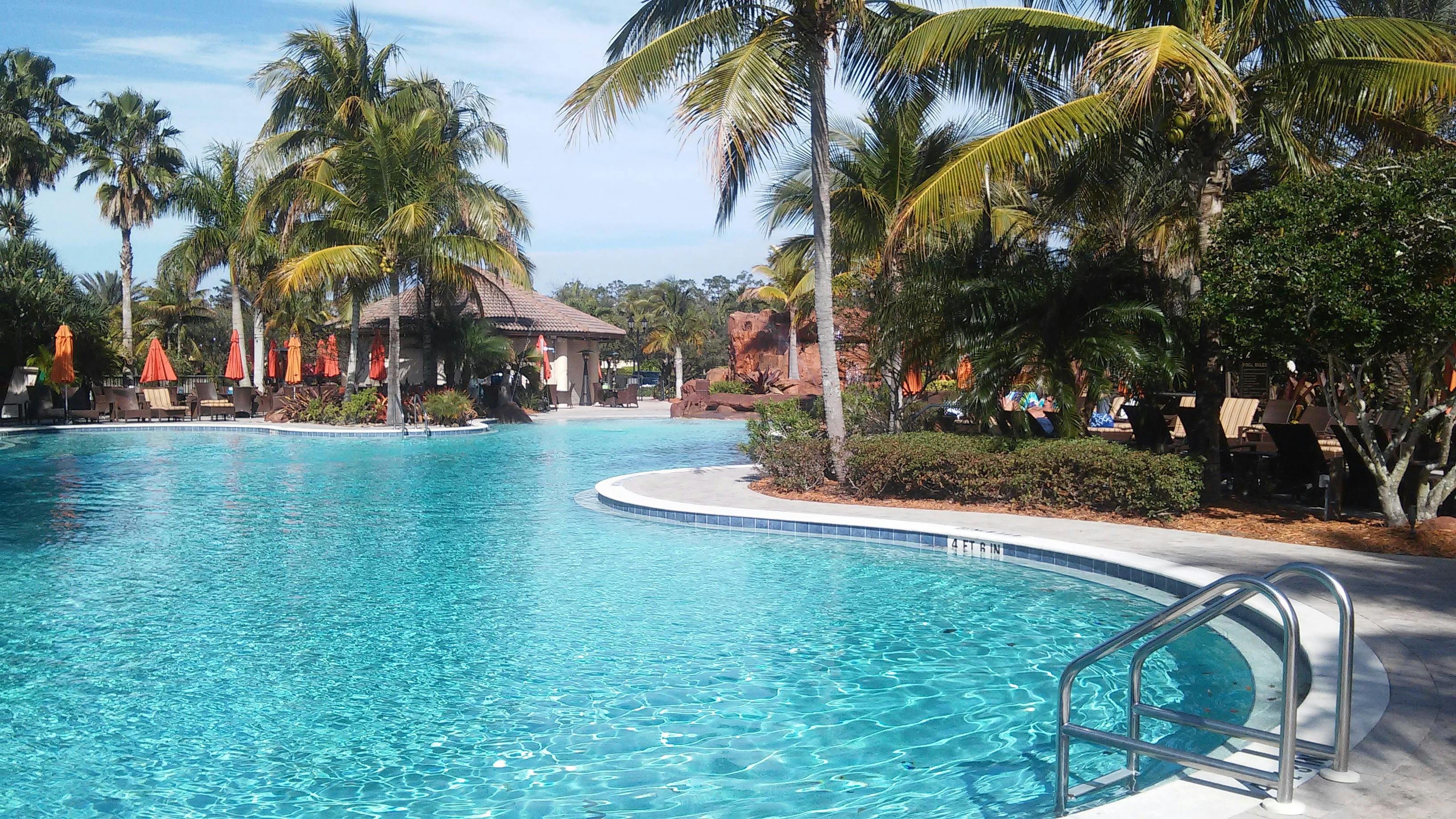 Free stock photo of florida, palm trees, swimming pool