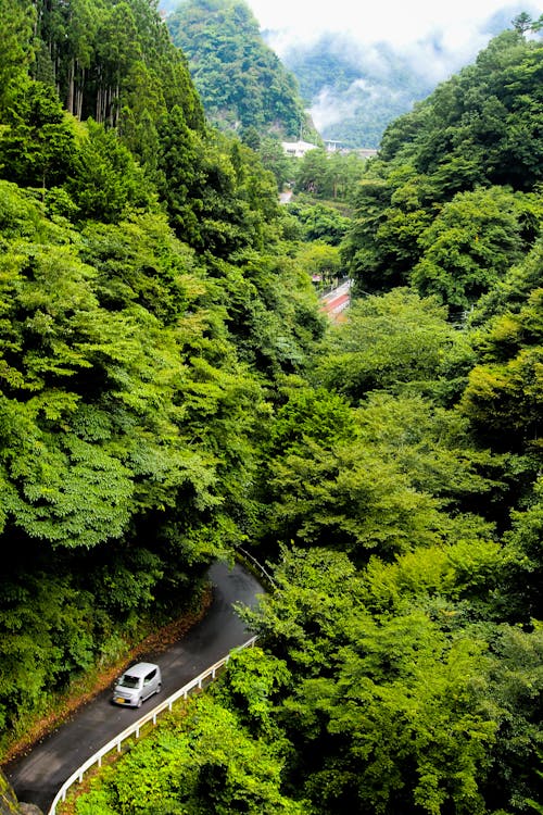 垂直拍攝, 山, 彎曲的道路 的 免費圖庫相片