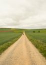 Brown Dirt Road Between Green Grass Field
