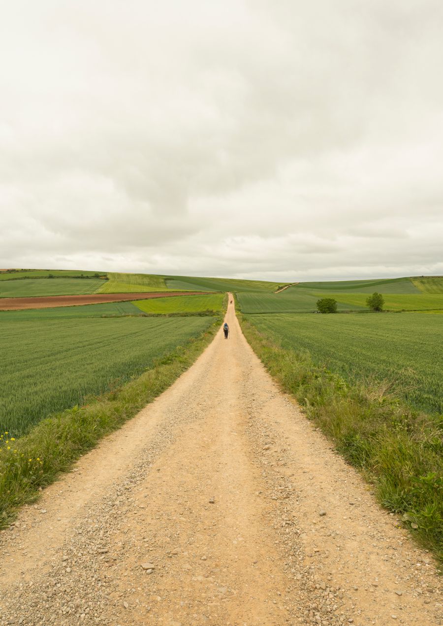 Diseño del Camino de Santiago a medida y planificación de etapas