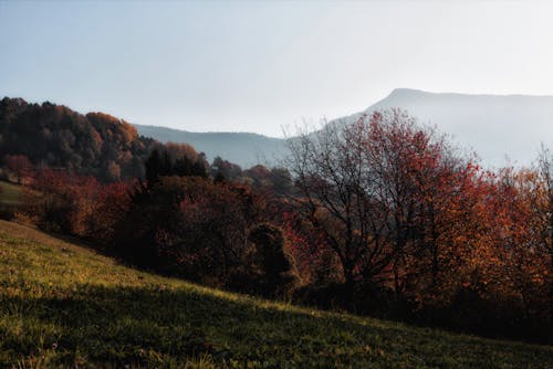 Kostnadsfri bild av bergen, dagsljus, dimmig
