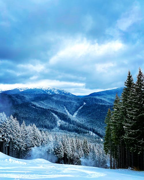 Gratuit Imagine de stoc gratuită din codru, iarnă, munte Fotografie de stoc