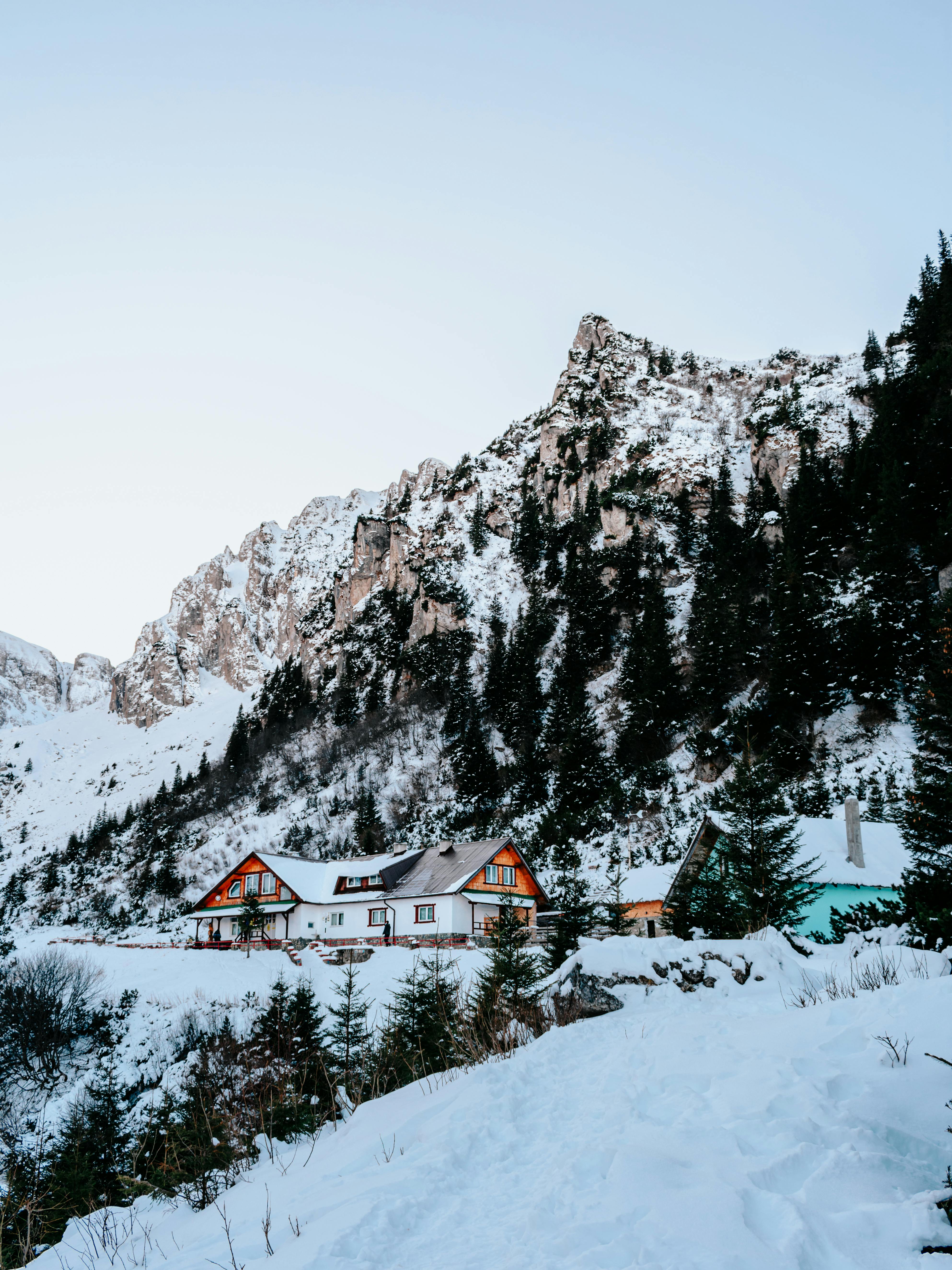 Beautiful snowy mountain landscape in Romania with cozy houses surrounded by pine trees.