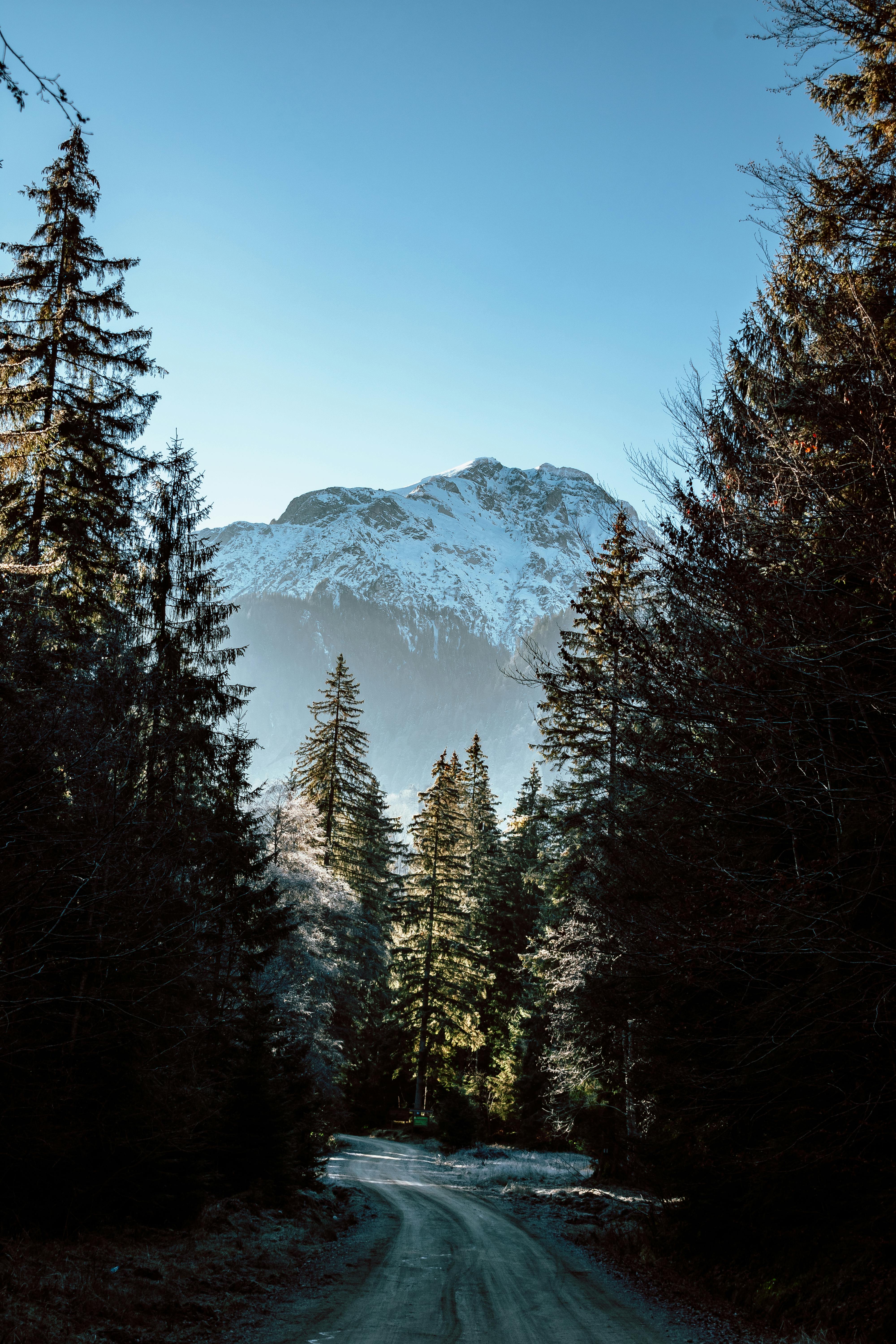 Scenic view of a road leading through a forest to snow-capped mountains in Romania.