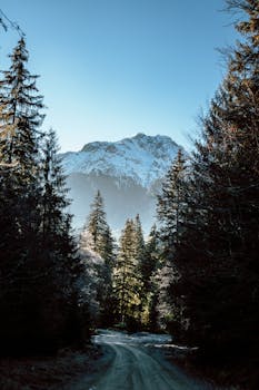 Scenic view of a road leading through a forest to snow-capped mountains in Romania.