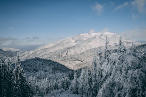 Winter in Mountains