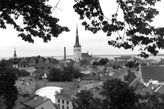 A stunning black and white view of Tallinn's historic architecture with St. Olaf's Church.