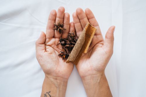 Free Close-up of hands holding cinnamon sticks and star anise on a white background. Stock Photo