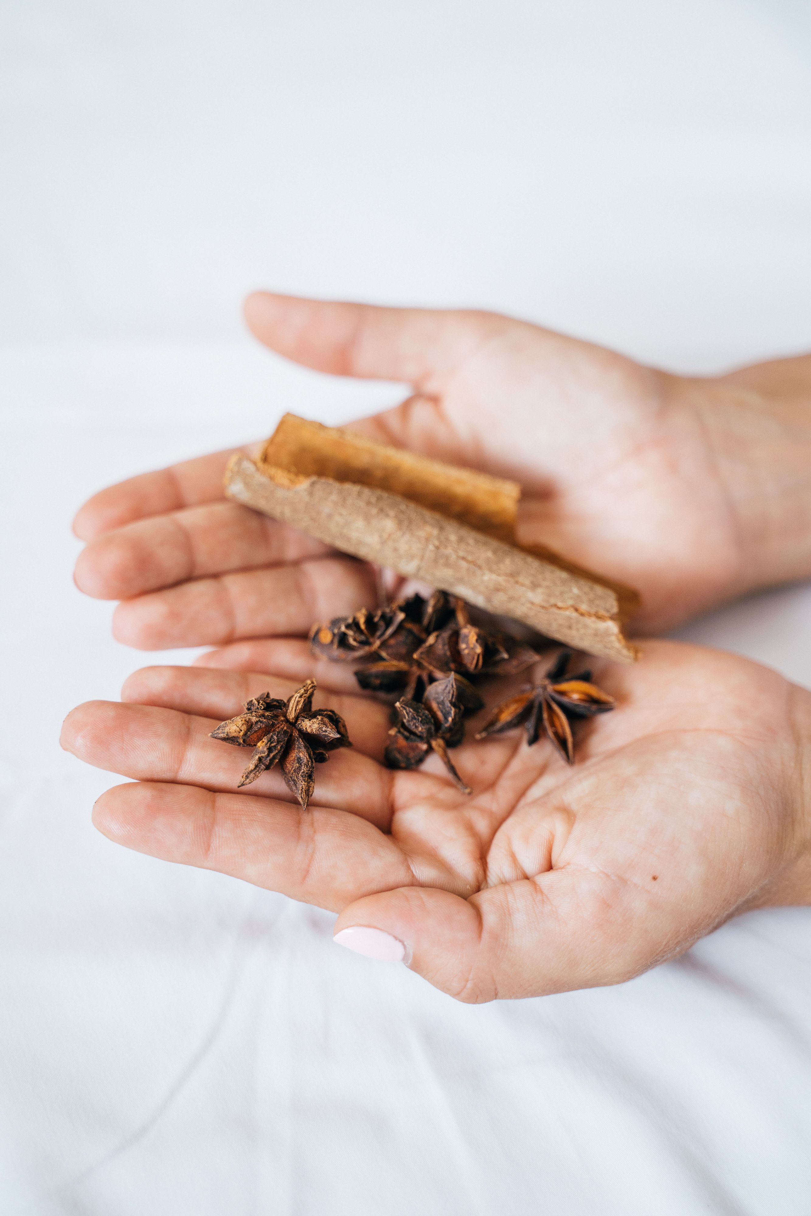 Close-up of cinnamon stick and star anise spices held in human hands, perfect for culinary themes.
