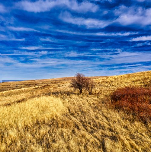 Free Serene countryside landscape with blue sky and golden fields in Pendleton, Oregon. Stock Photo
