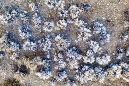 Free Aerial perspective of sagebrush vegetation in dry, rocky terrain in Huntington, Oregon. Stock Photo
