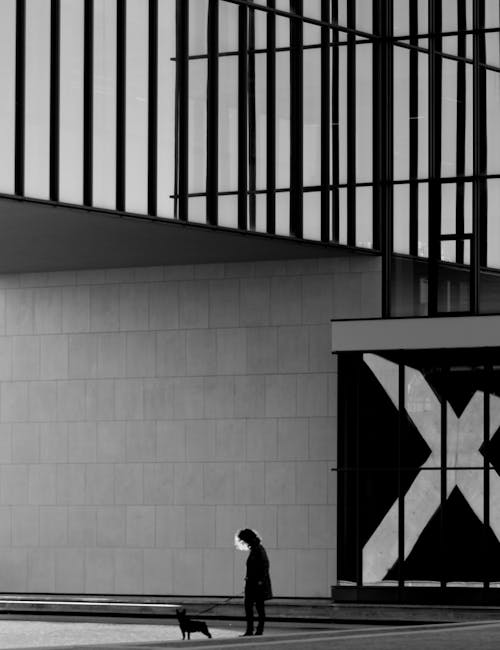 Foto d'estoc gratuïta de arquitectura, blanc i negre, company