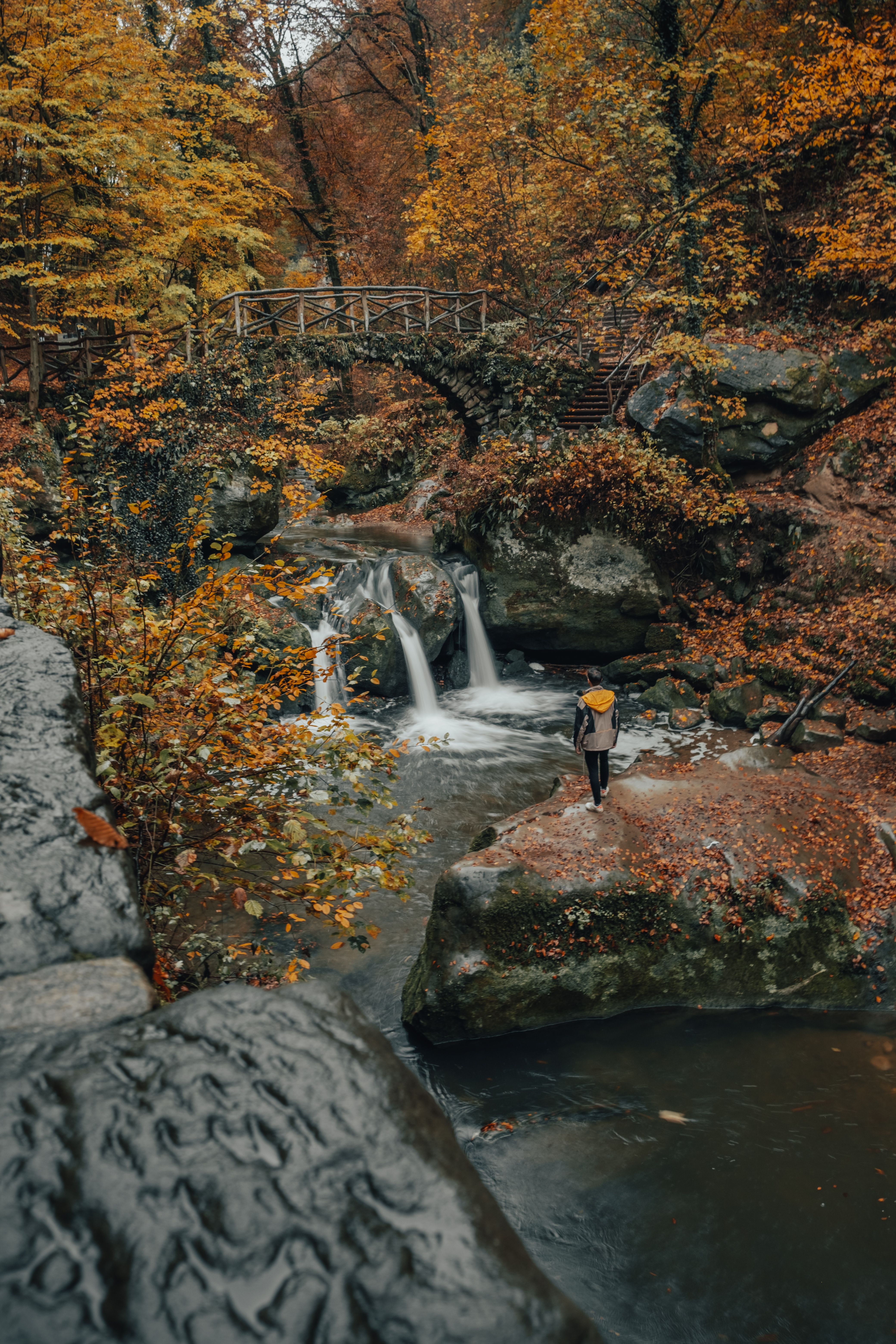 A Person Standing on Rock Near a Waterfall · Free Stock Photo