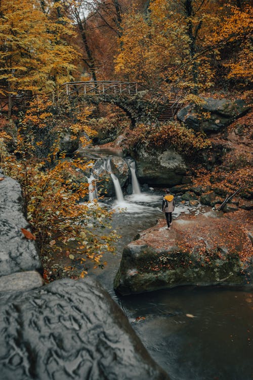 A Person Standing on Rock Near a Waterfall