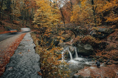 Fotos de stock gratuitas de atmosfera de outono, caer, cascadas