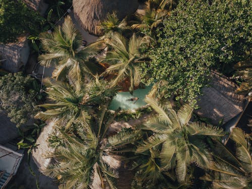 Бесплатное стоковое фото с Аэрофотосъемка, бассейн, деревья