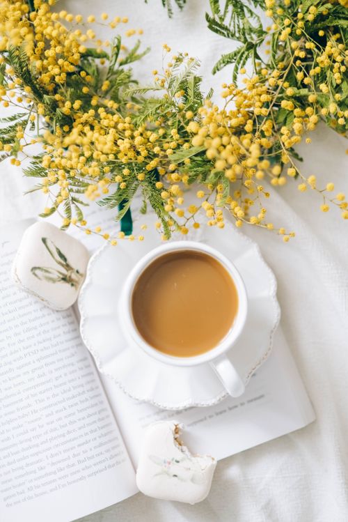 Free Beautiful flat lay of coffee, macarons, and yellow flowers, perfect for spring vibes. Stock Photo