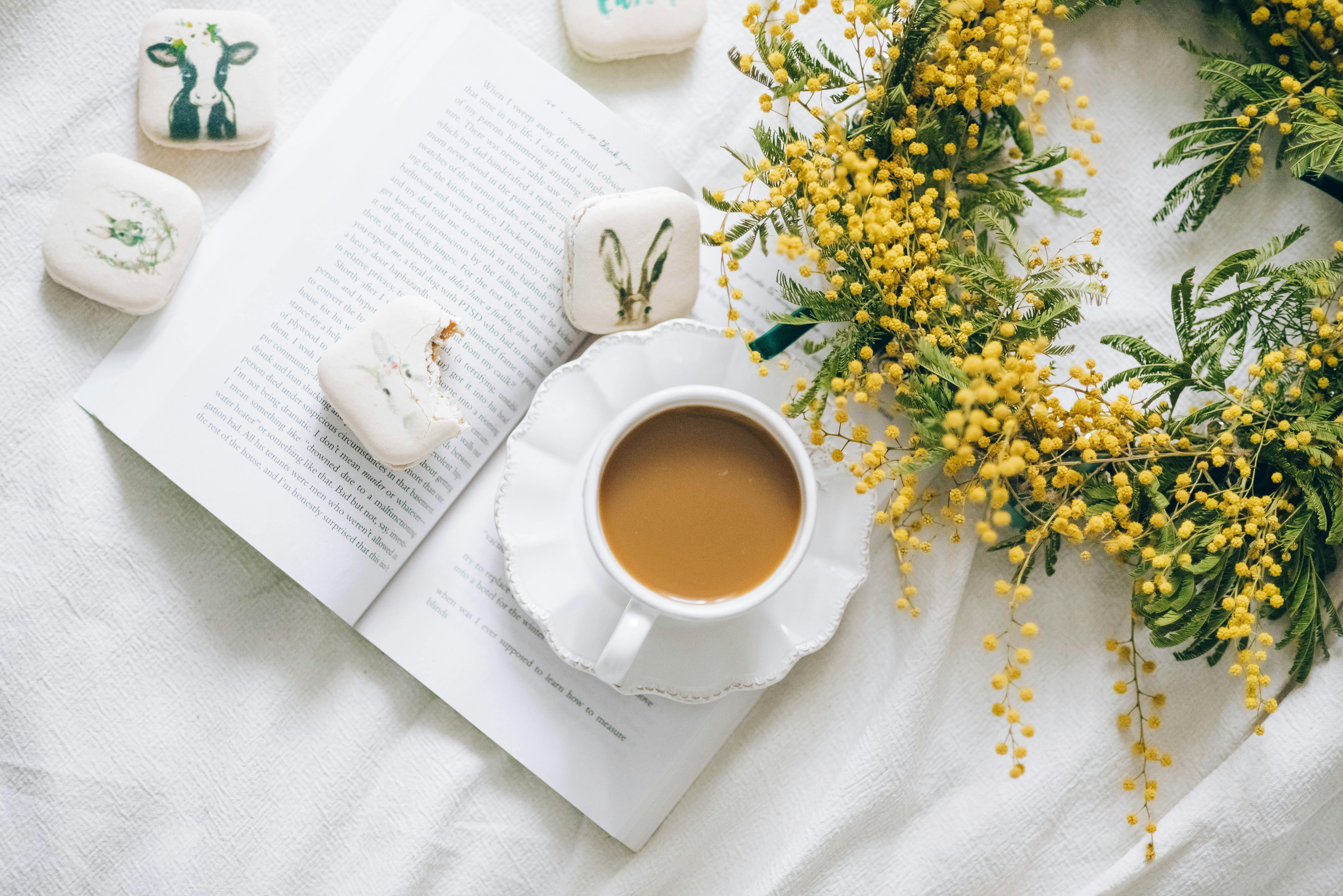 unique coffee flavor combinations - Cup of coffee with colorful macarons and mimosa wreath on an open book, perfect for spring settings.