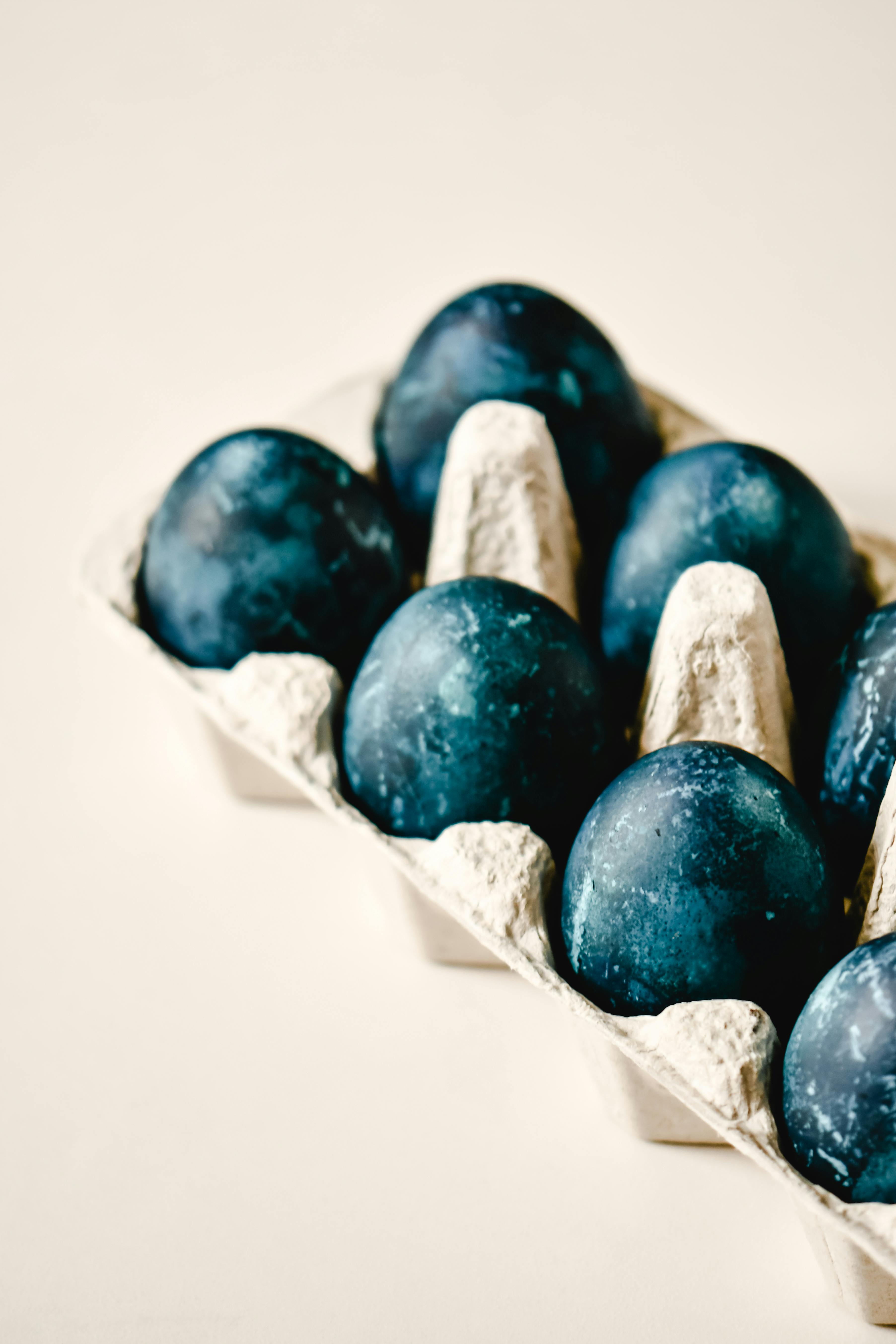 Free stock photo of artsy, blue, blue eggs