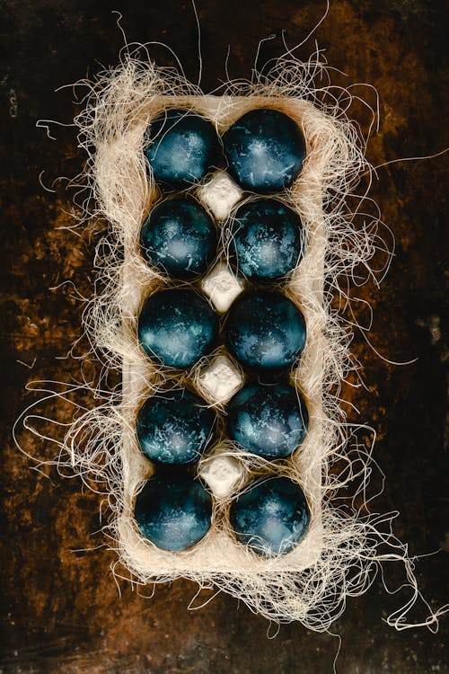 Painted Eggs on a Nest