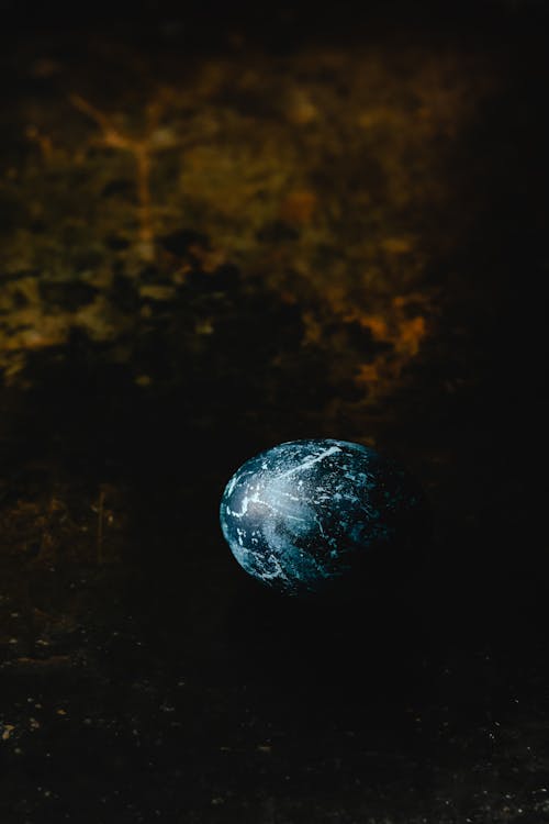Dyed Egg on Dark Background