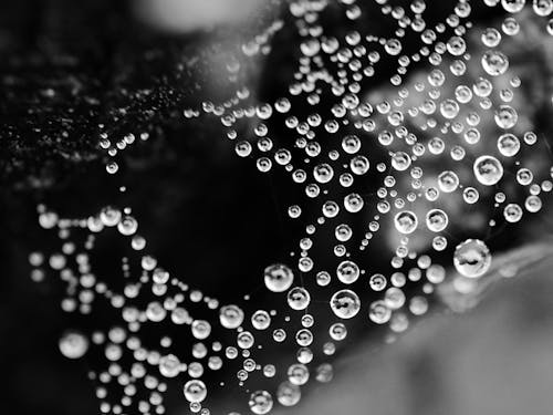 Extreme Close-up of Water Drops 