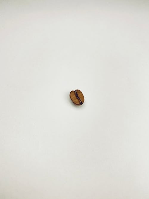 A Single Coffe Bean on White Background 