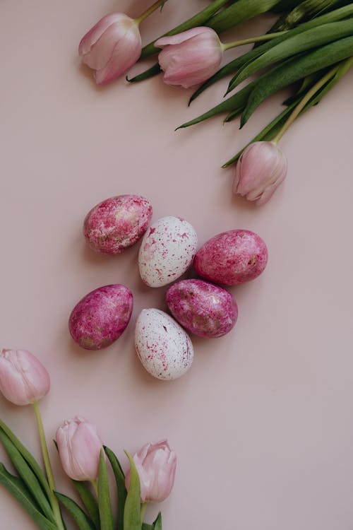 Easter Eggs and Pink Tulips