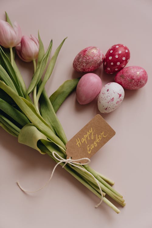 Free Colorful Easter Eggs beside the Blooming Tulips Stock Photo