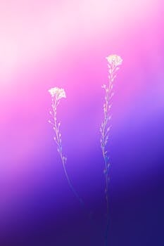Two elegant flowers with a vibrant pink and purple gradient background.