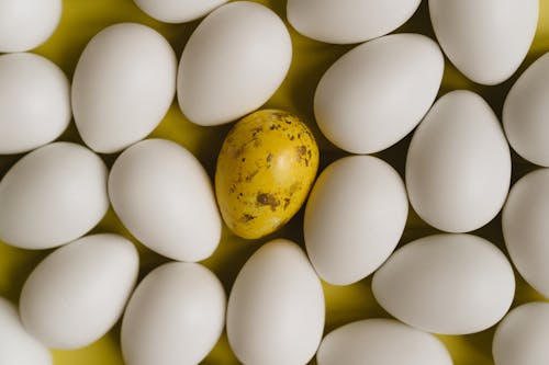 Fotos de stock gratuitas de de cerca, flatlay, huevos