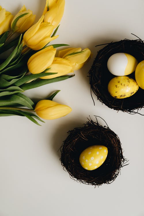 Kostnadsfri bild av bon, dekorationer, gula blommor