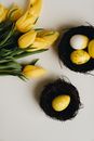 Close-Up Shot of Easter Eggs beside Yellow Tulips