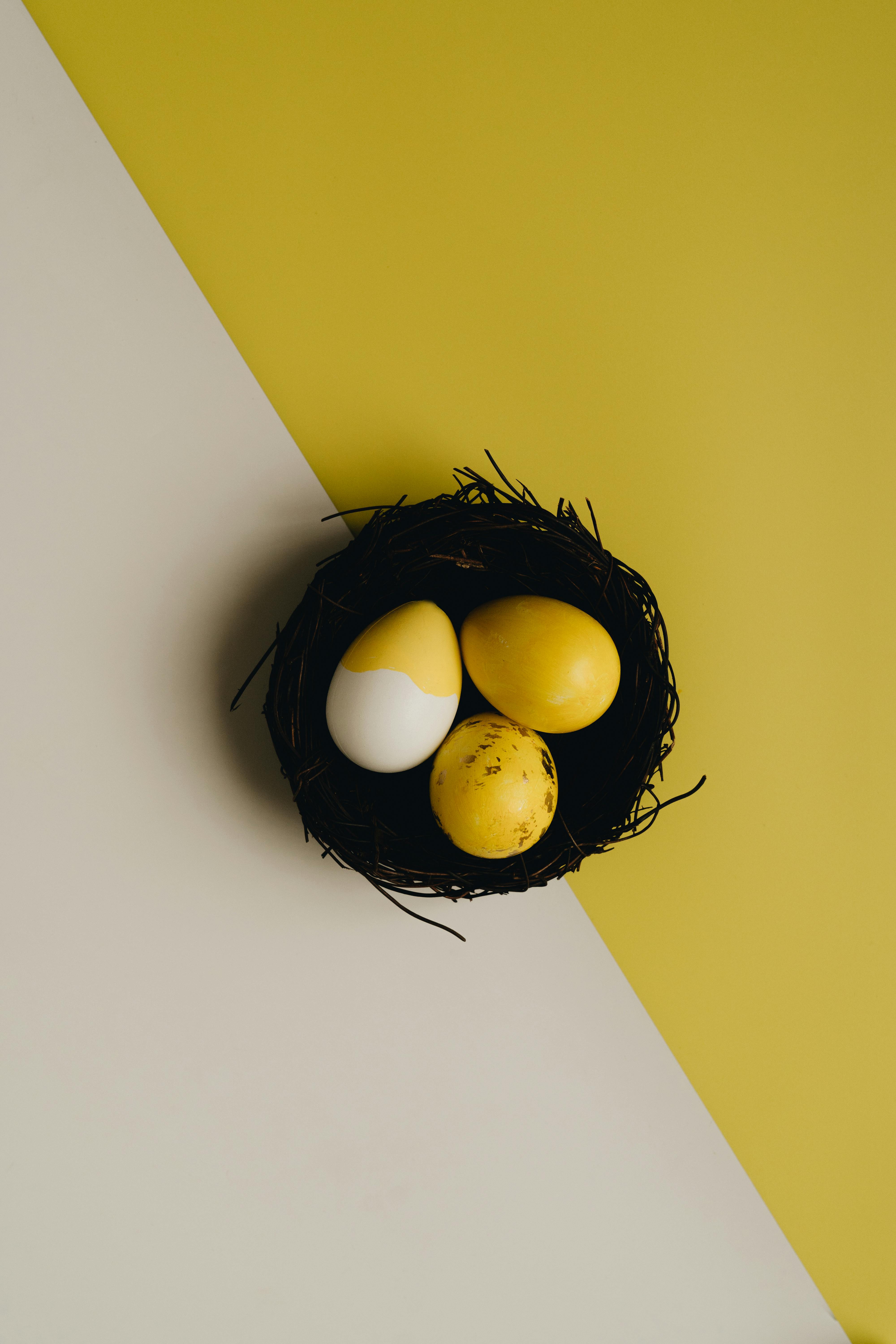 easter eggs on a nest