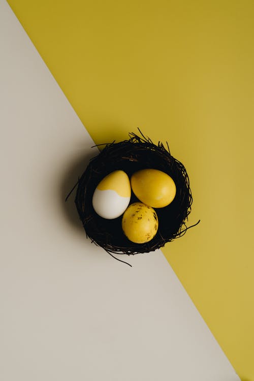 Kostenloses Stock Foto zu eier, flatlay, gefärbt