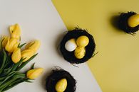 Close-Up Shot of Easter Eggs beside Yellow Tulips