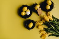 Easter Eggs and Yellow Tulips