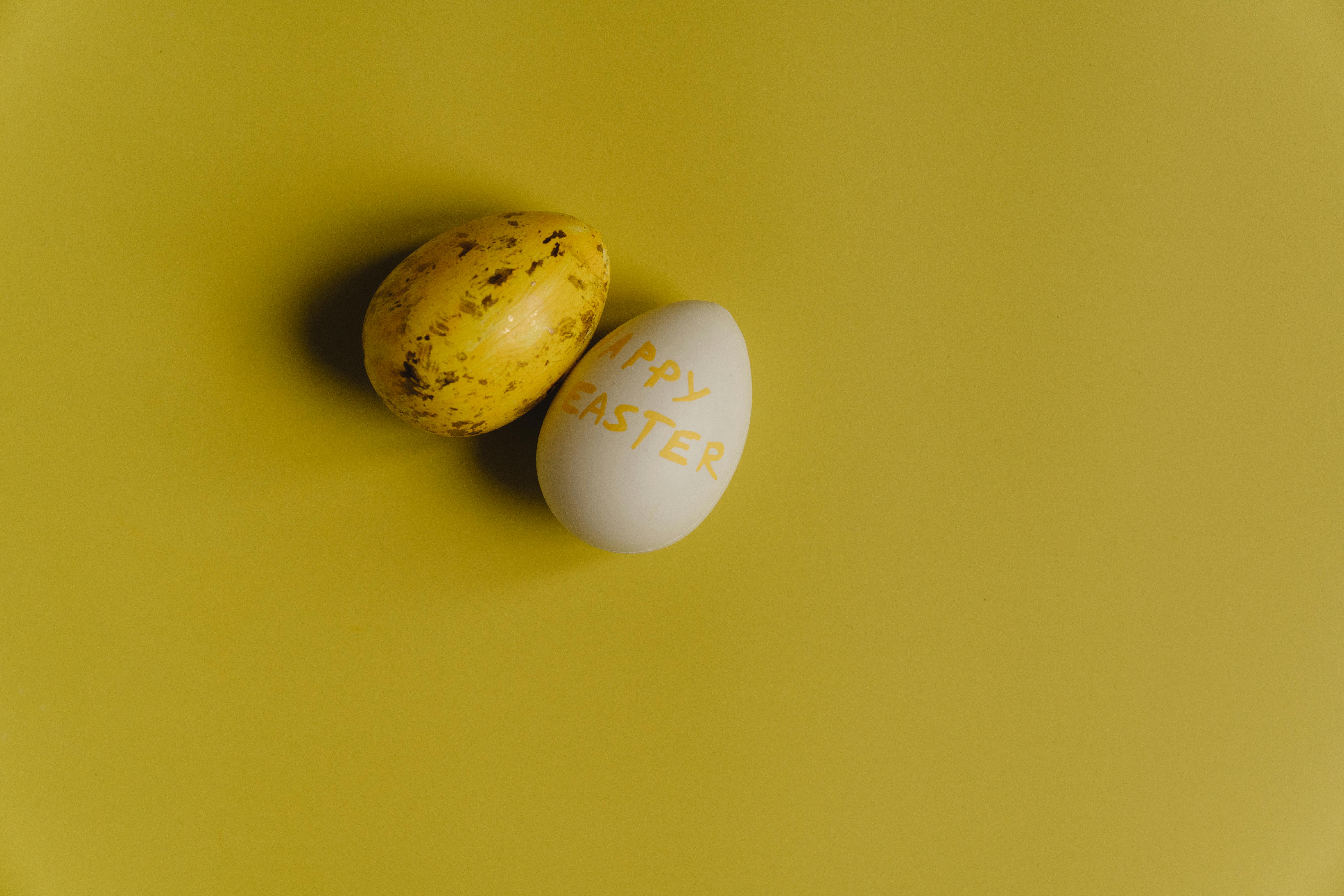 Pet Safety Tips for Easter — Photo by alleksana on Pexels