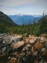 Green Pine Trees on Rocky Mountain