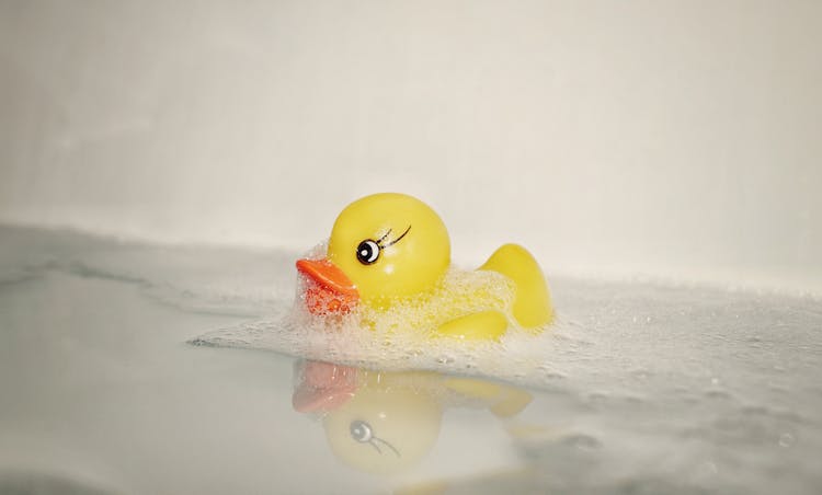 Rubber Duck In Bath