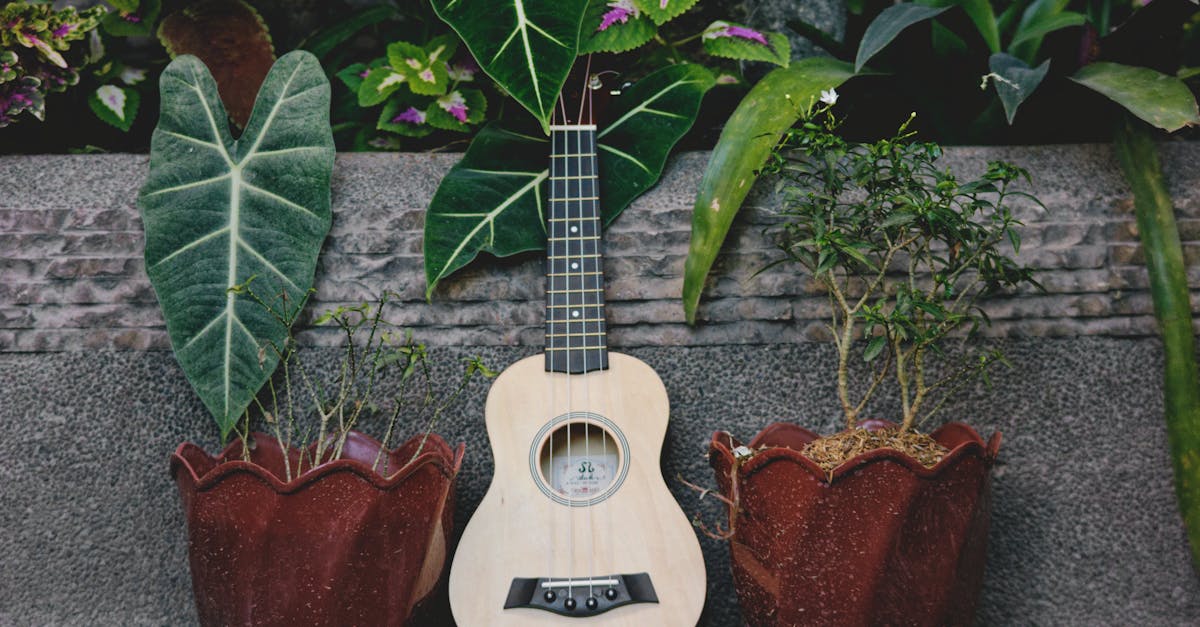 How to play wooden musical spoons