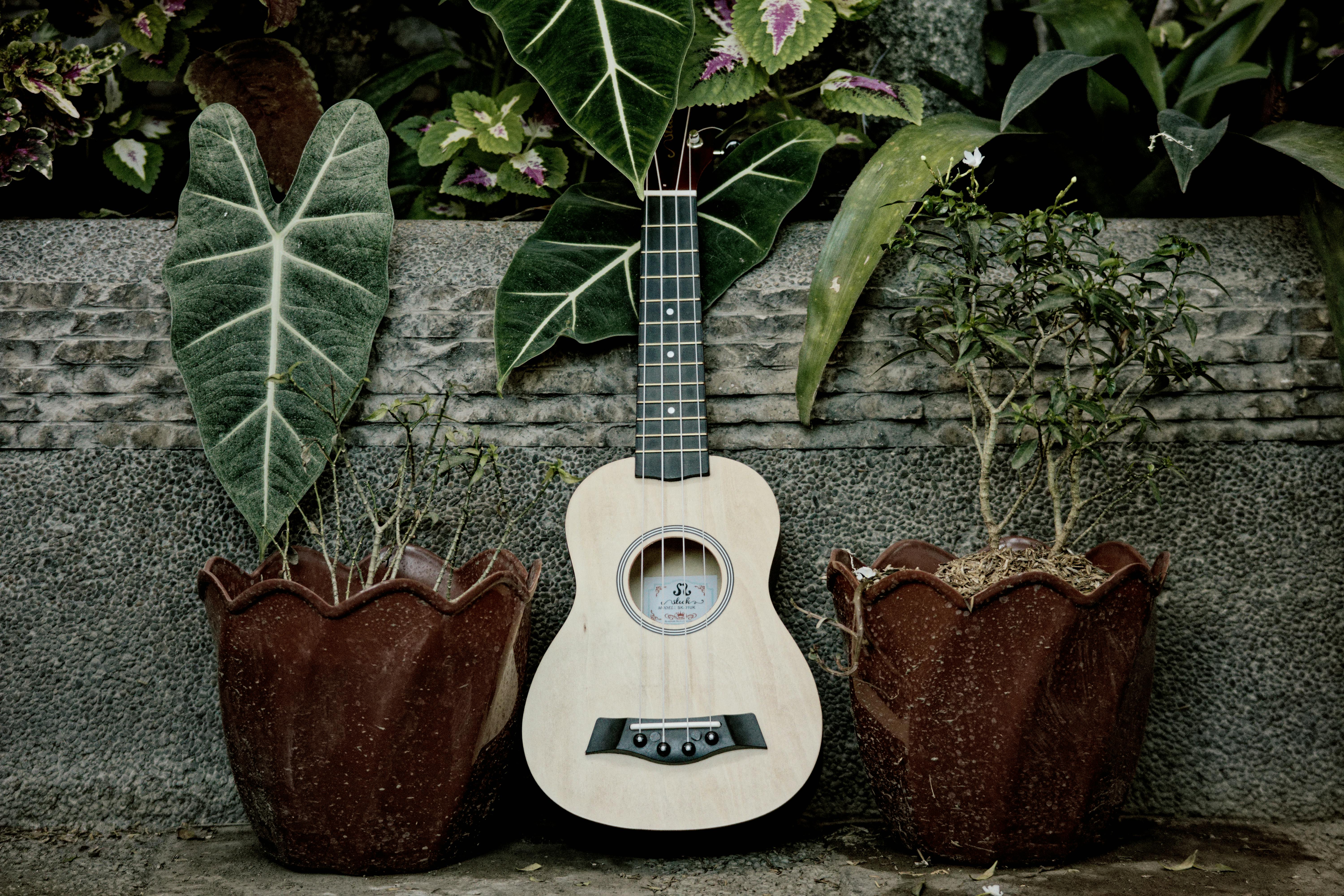 The Role of‍ Chord Progressions‍ in​ Defining​ Musical Genre