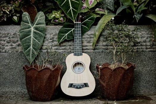 Acoustic ukulele placed in verdant garden