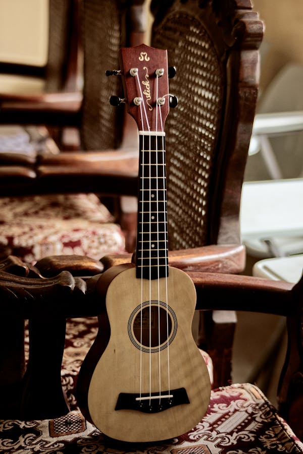 Modern acoustic ukulele guitar with light beige body placed on wooden chair in light room