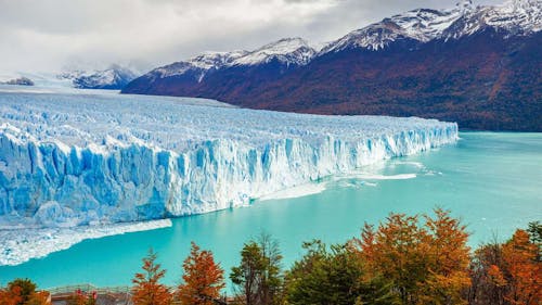 Free Drone Shot of Argentina Glacier Stock Photo